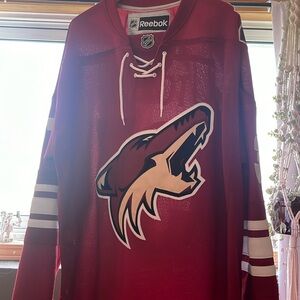 Raffi Torres Phoenix coyotes #37 jersey